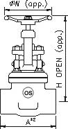 Forged Globe Valve Class 800 SS304 Socket Weld Ends